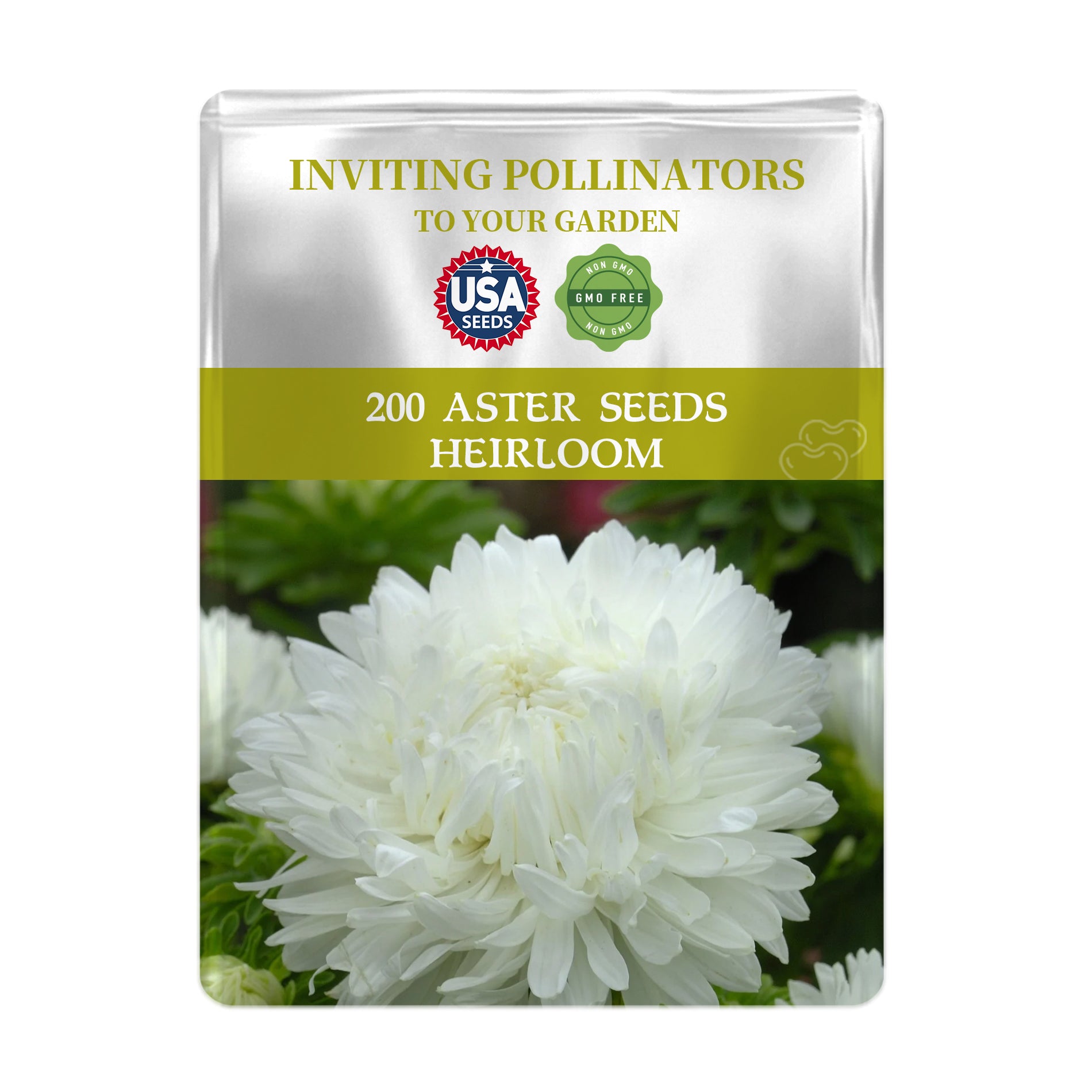 aster seeds planting Aster Seeds 200Pcs