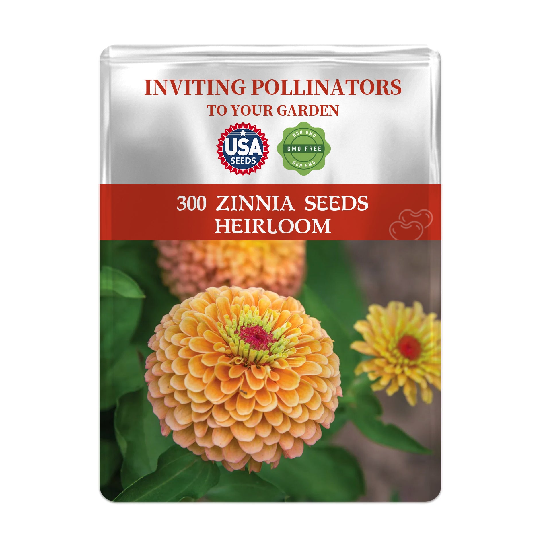 dahlia zinnia seeds Zinnia Seeds