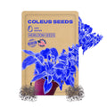 Package of Coleus seeds with a sprouting plant on a white background Painted Nettle Foliage Mix  Seeds