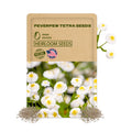 Heirloom seeds packet of Feverfew Tetra Seeds with a background of white flowers.