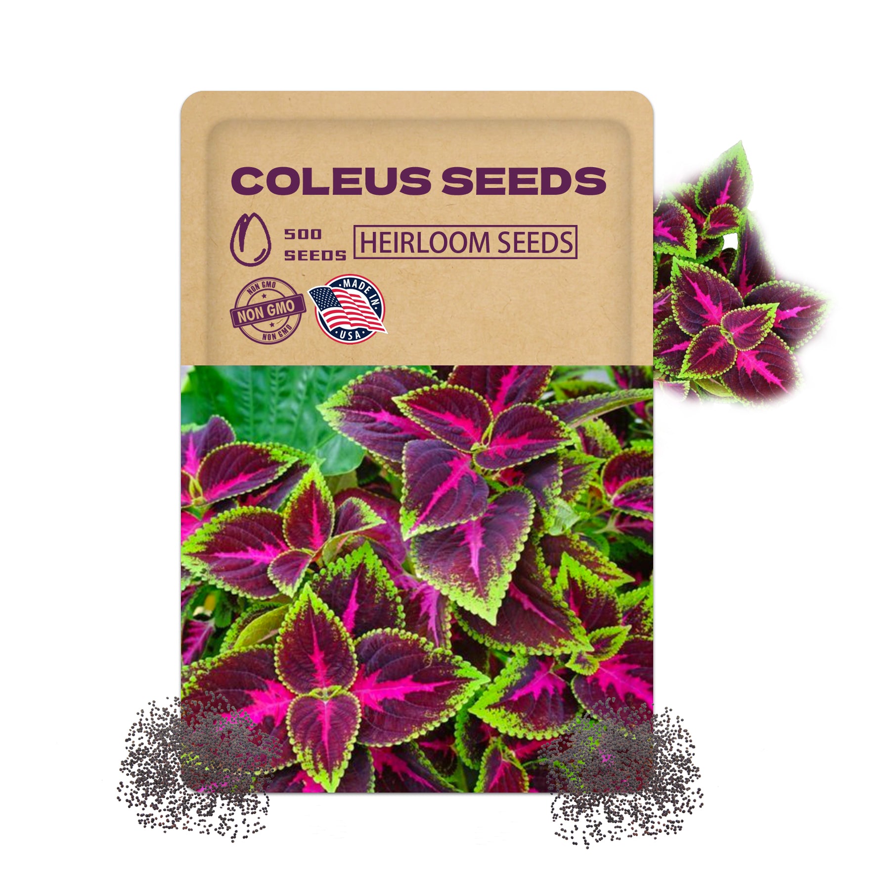 Coleus seeds packet with colorful coleus leaves on a white background