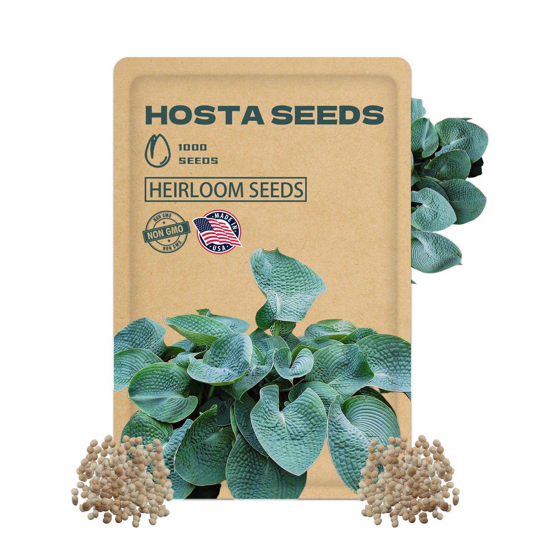 Shade Perennial Foliage Hosta seeds packaging with hosta plants and seeds on a white background