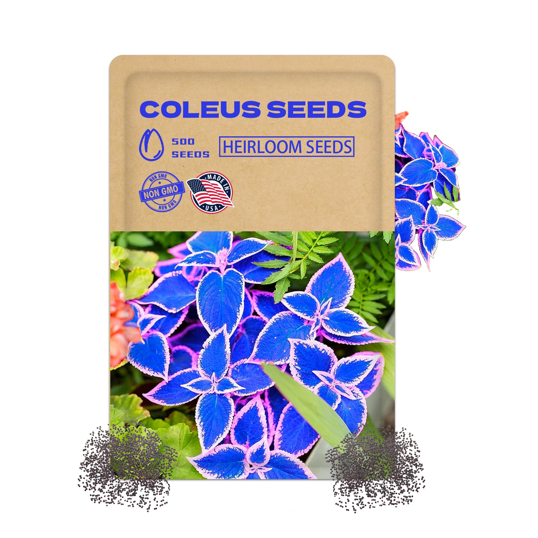 Coleus seeds packet with blue and pink coleus flowers on a white background