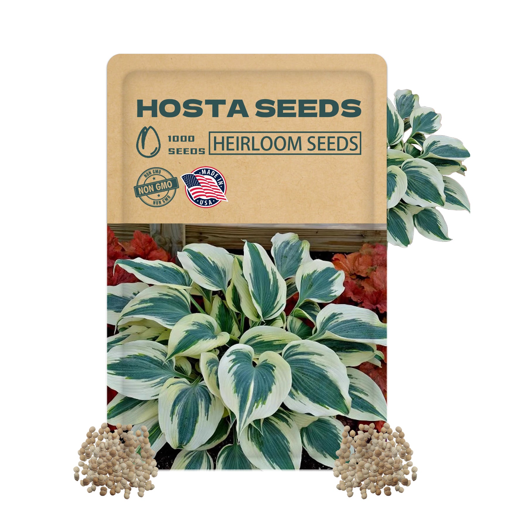 Shade Perennial Foliage Hosta seeds packaging with a plant image on a white background