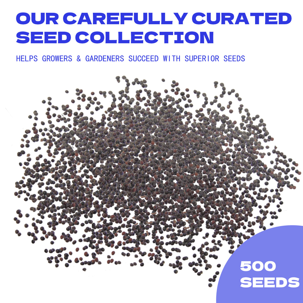 Painted Nettle Foliage Mix Coleus Seeds collection with text about a curated seed collection for growers and gardeners.