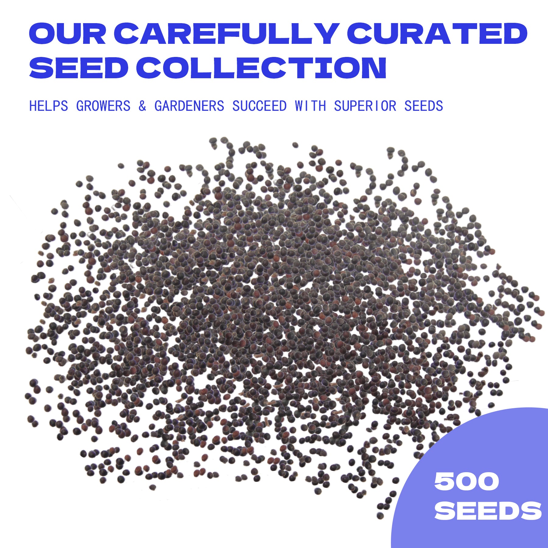 Painted Nettle Foliage Mix Coleus Seeds collection with text about a curated seed collection for growers and gardeners.