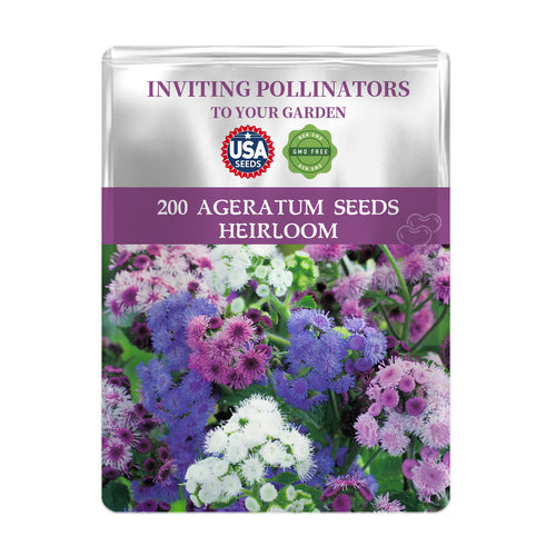 Close-up of fluffy blue Ageratum flowers grown from GreenPulse seeds.