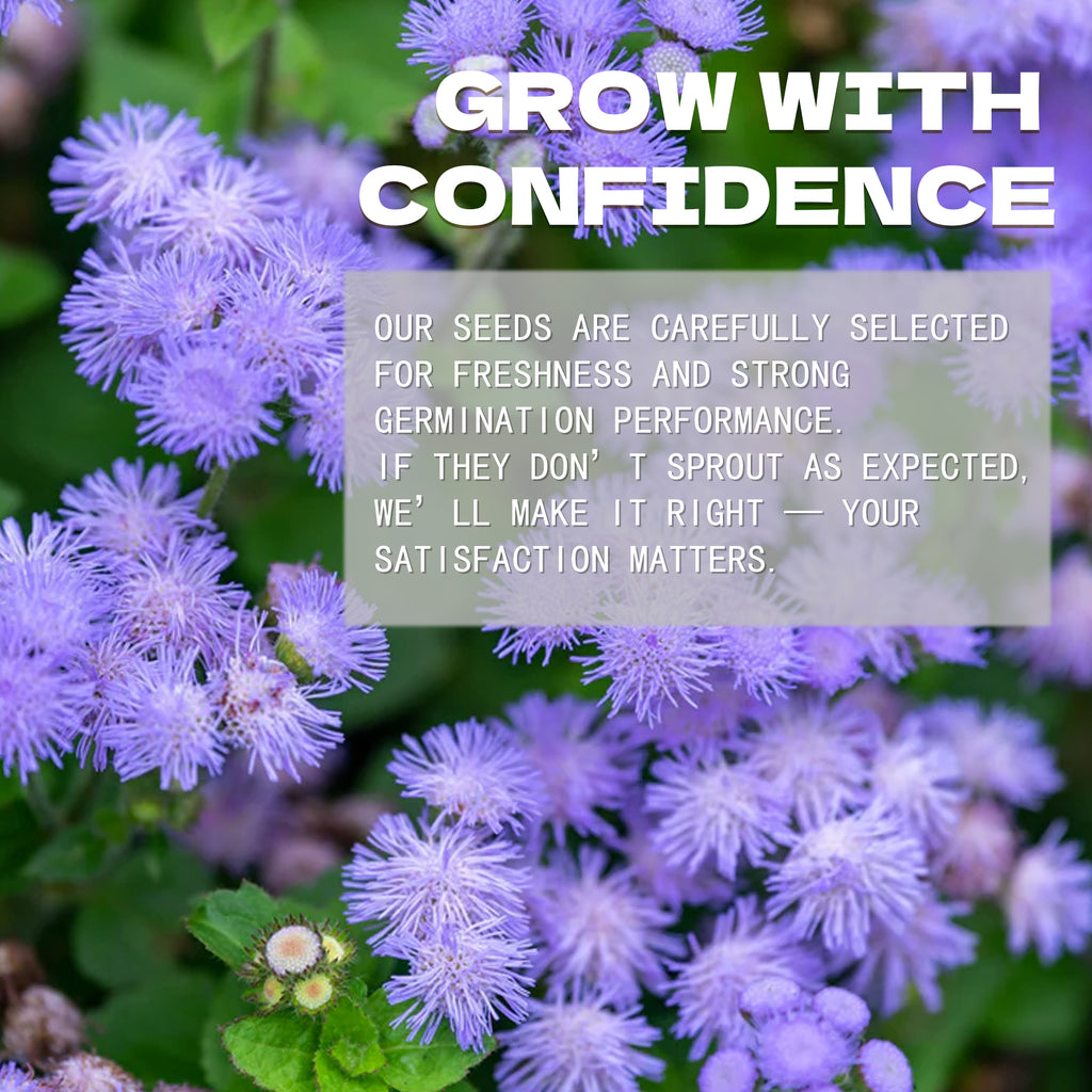 Purple flowers with text overlay about seed selection and satisfaction guarantee.