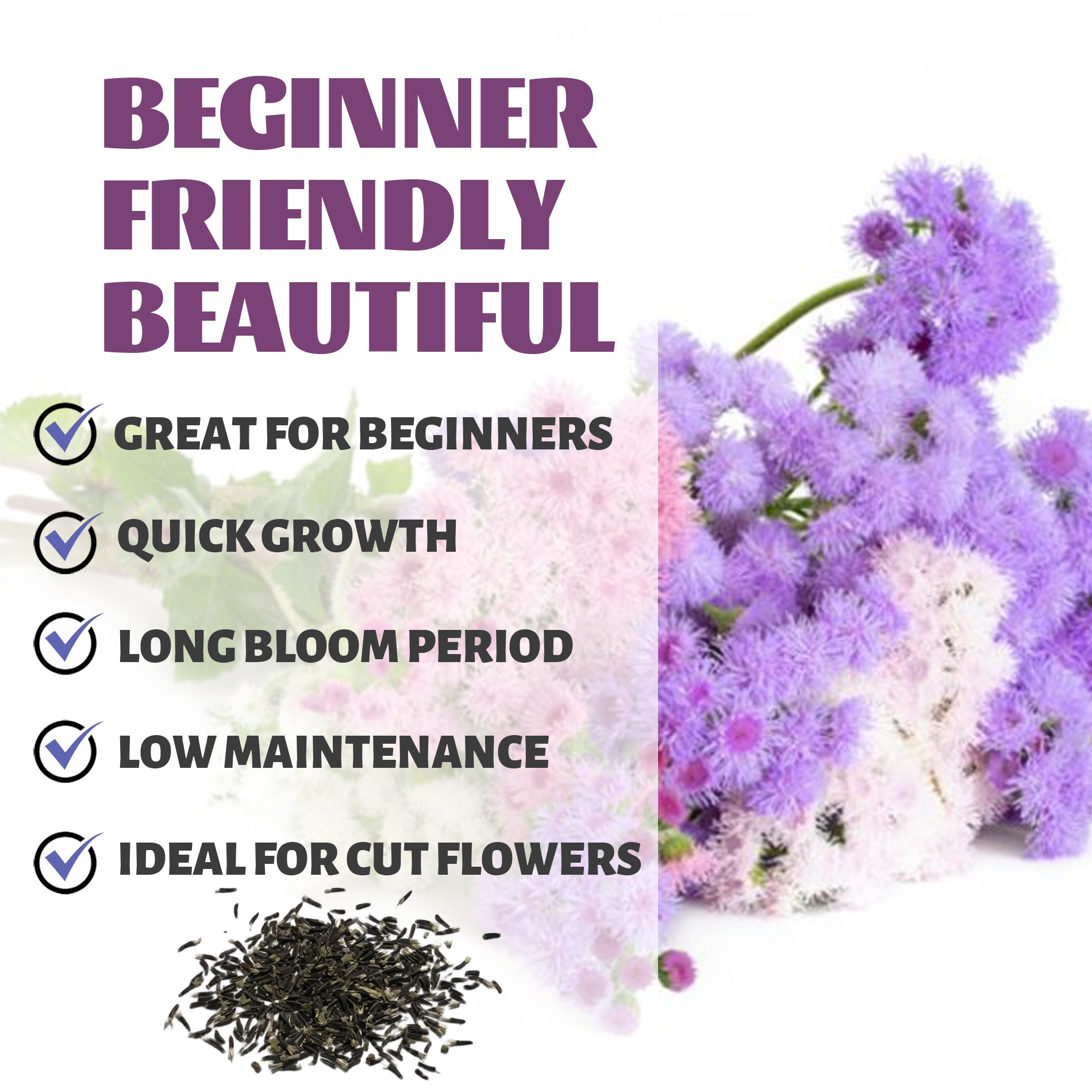 Packet of premium non-GMO Ageratum flower seeds.