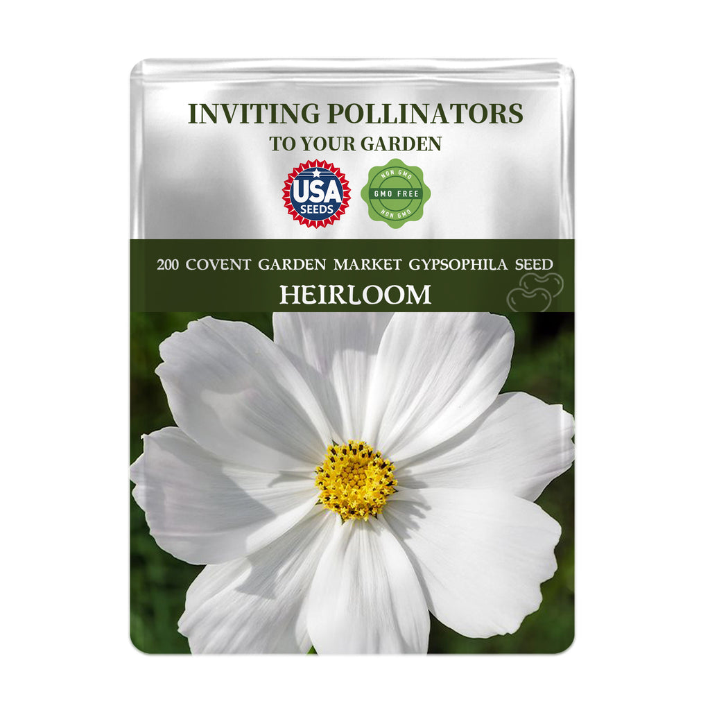 Seeds packet for Baby's Breath Covent Garden Gypsophila Seeds with a white flower on a green background