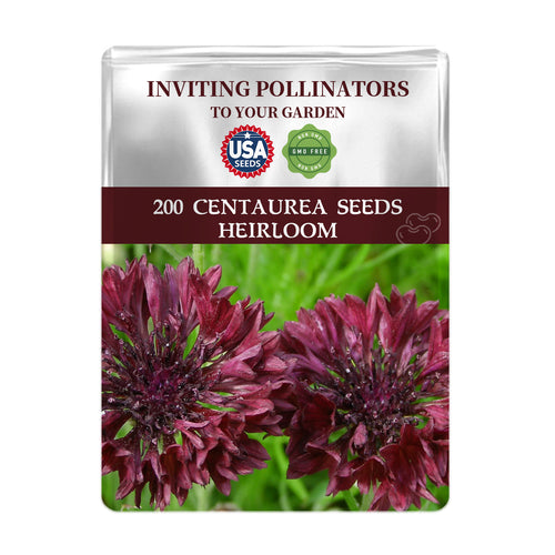 Bachelor's Button Knapweed Cornflower Centaurea Seeds packet with Centaurea seeds and images of purple flowers on a white background