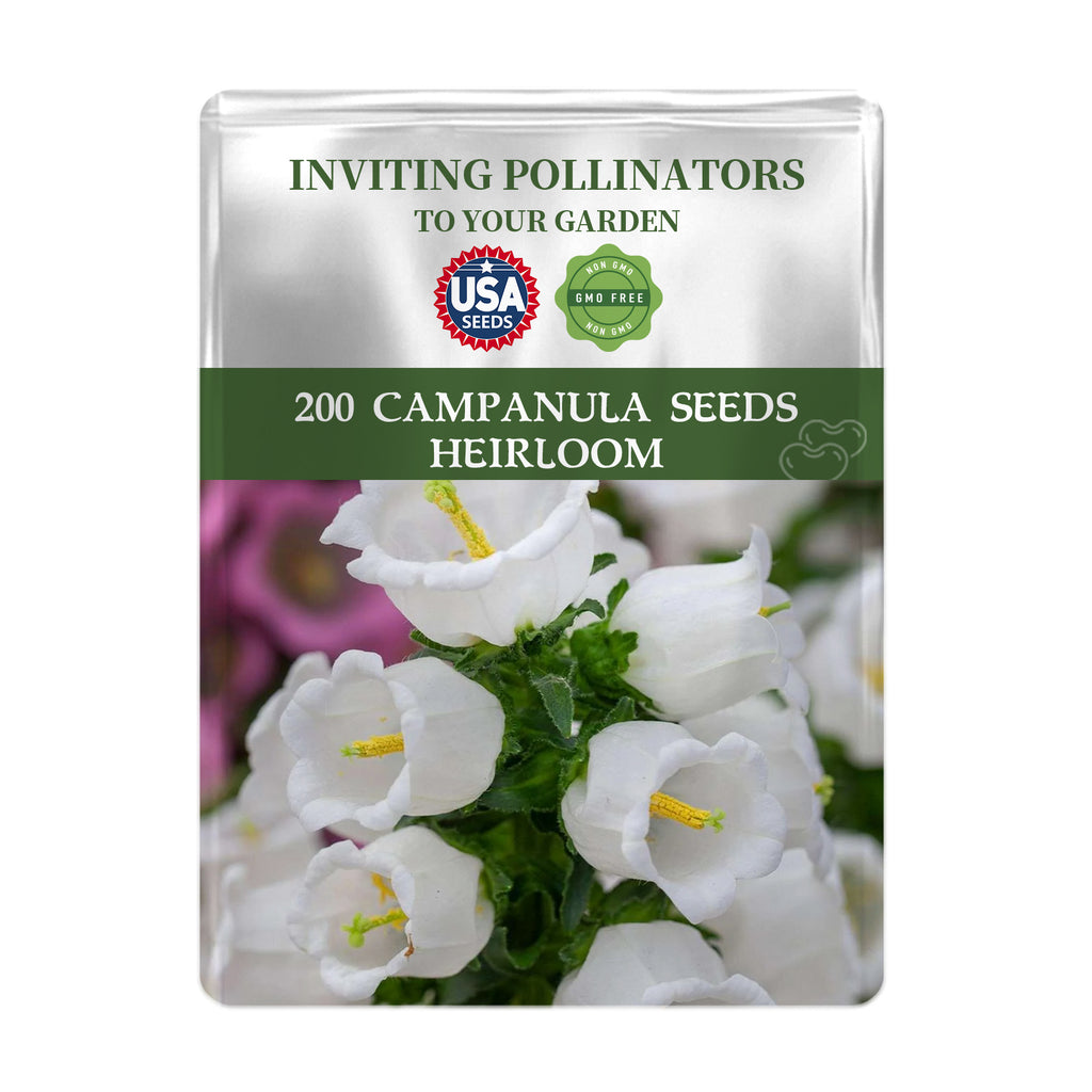 Seed packet for Bellflower Campanula Seeds with white flowers on a white background