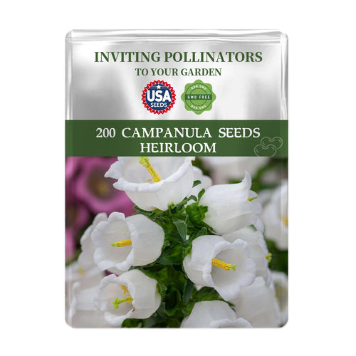 Seed packet for Bellflower Campanula Seeds with white flowers on a white background