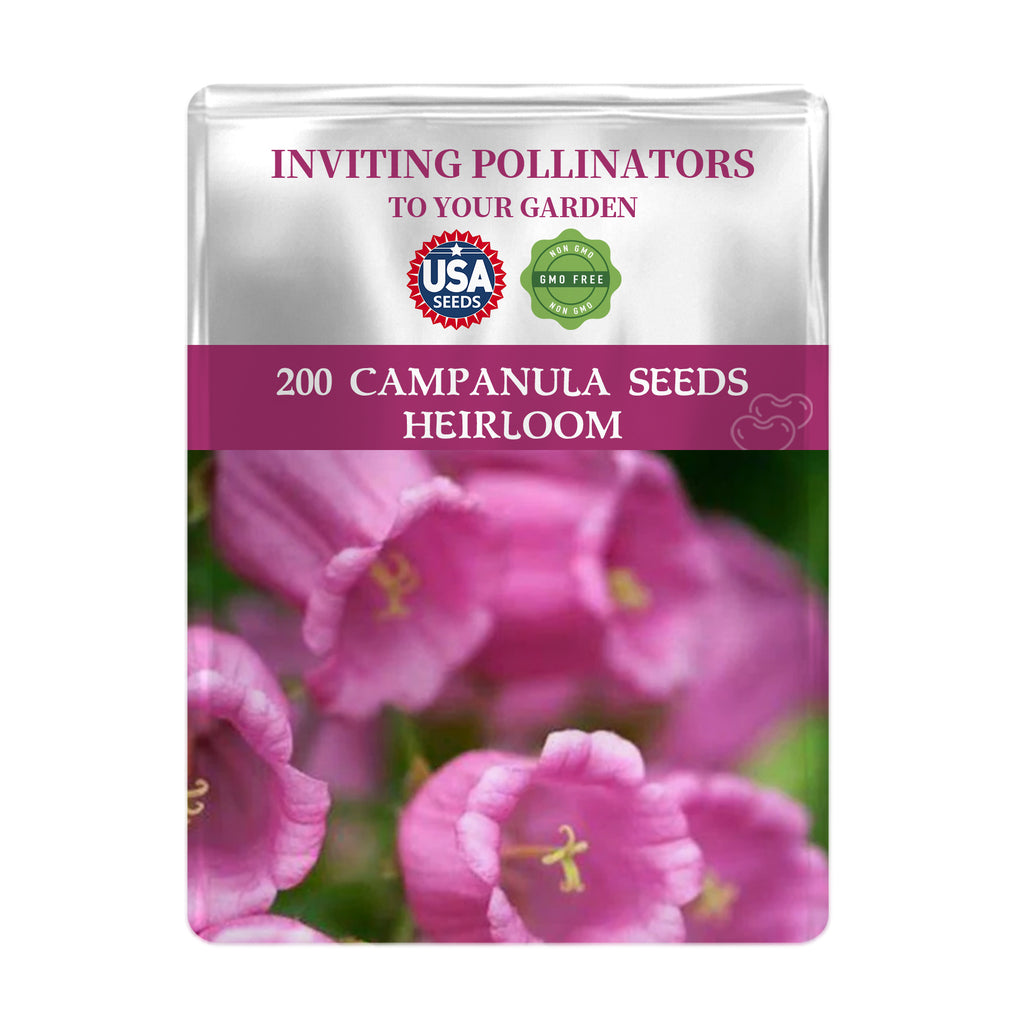 Bellflower Campanula Seeds packet for Campanula seeds with pink flowers on a white background