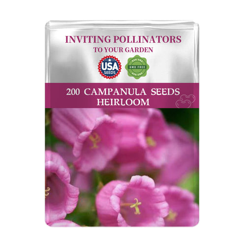 Bellflower Campanula Seeds packet for Campanula seeds with pink flowers on a white background