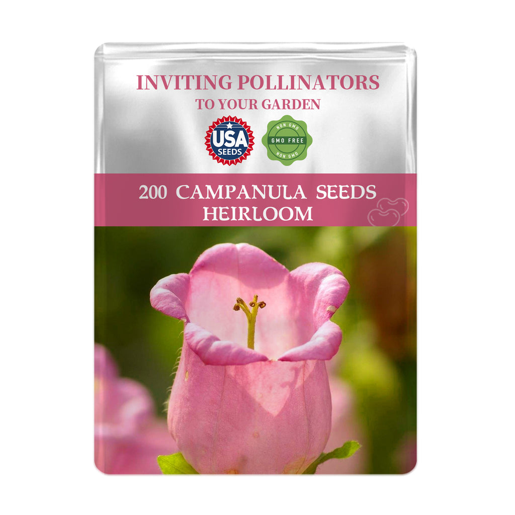 Bellflower Campanula Seeds packet for Campanula seeds with a pink flower on a white background