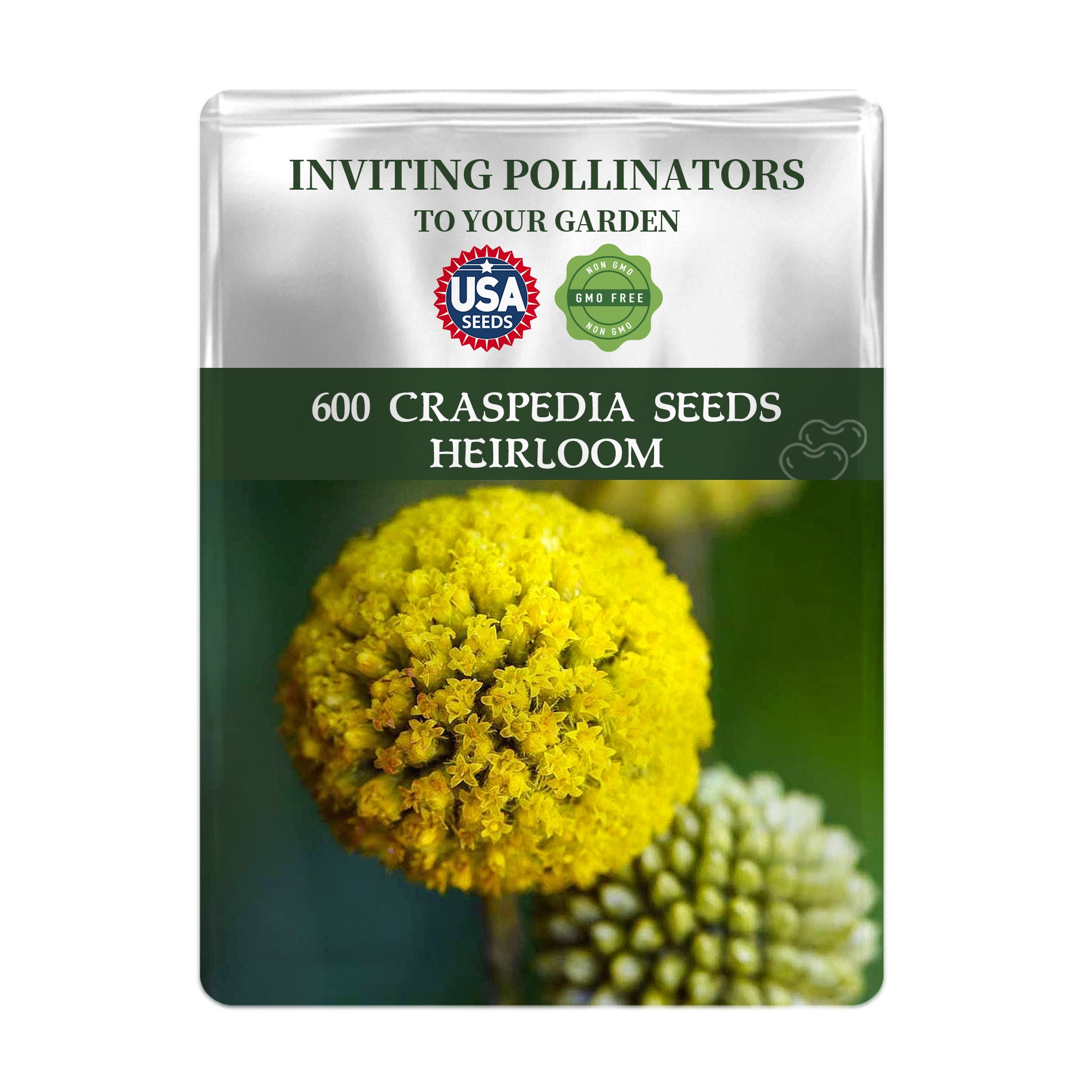 Seeds packet for Billy Buttons Drumstick Craspedia Seeds with a yellow flower on a white background