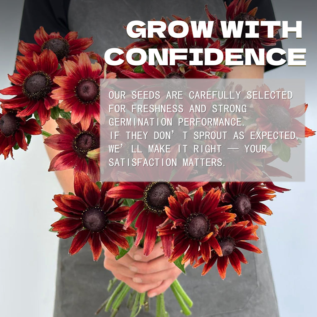 Person holding Black-Eyed Susan Rudbeckia Seeds red flowers with promotional text overlay on a gray background