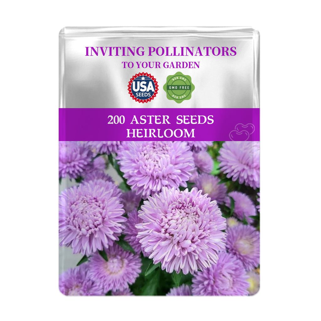 Seed packet for 200 China Aster Seeds Cut Flower  with purple flowers on a white background