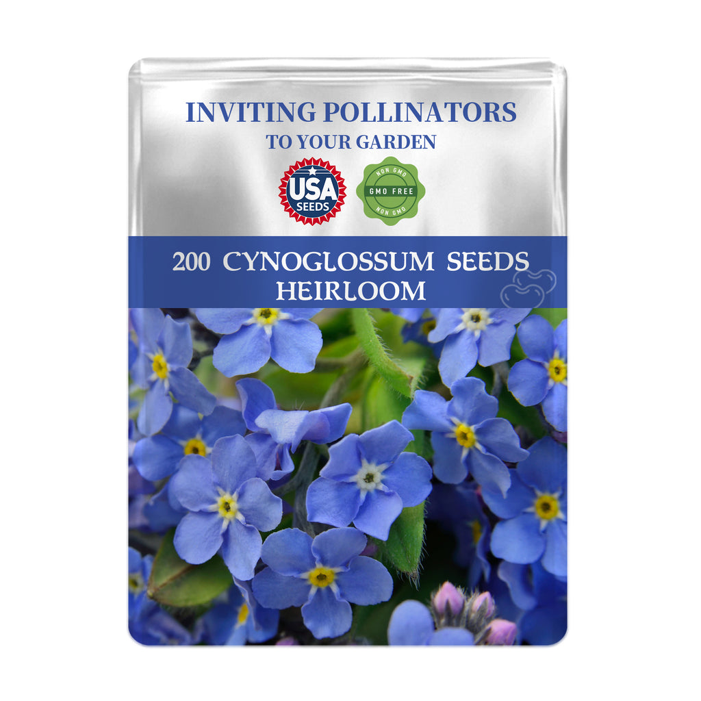 Seeds packet for Chinese Forget-Me-Not Cynoglossum Seeds with blue flowers on a white background