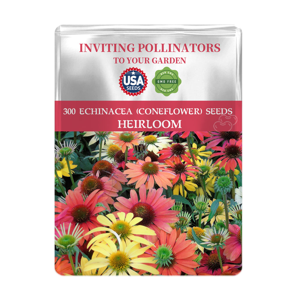 Seeds packet for Coneflower Echinacea Seeds with colorful flowers on a white background