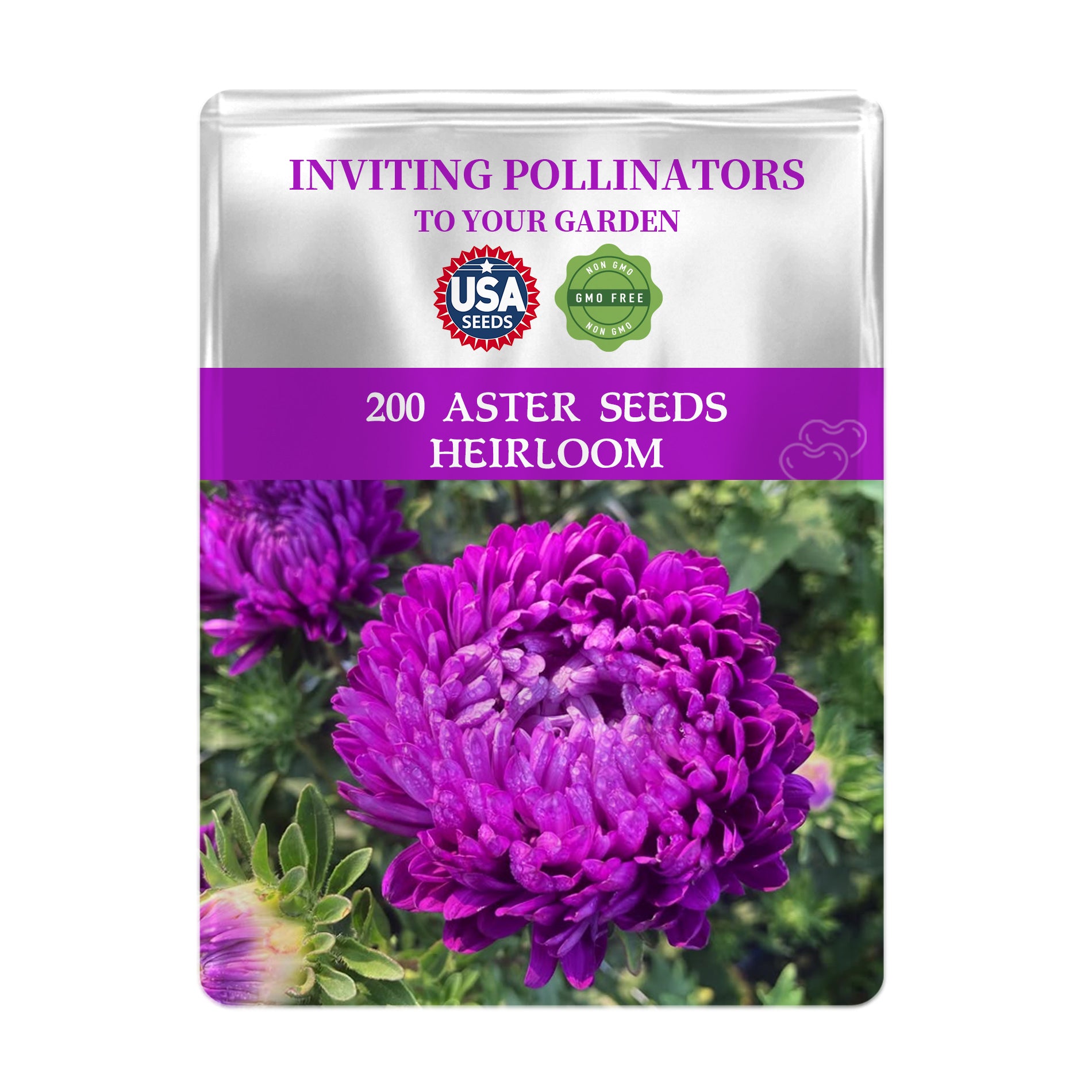 Seed packet for 200 Cut Flower China Aster Seeds  with purple flowers on a white background
