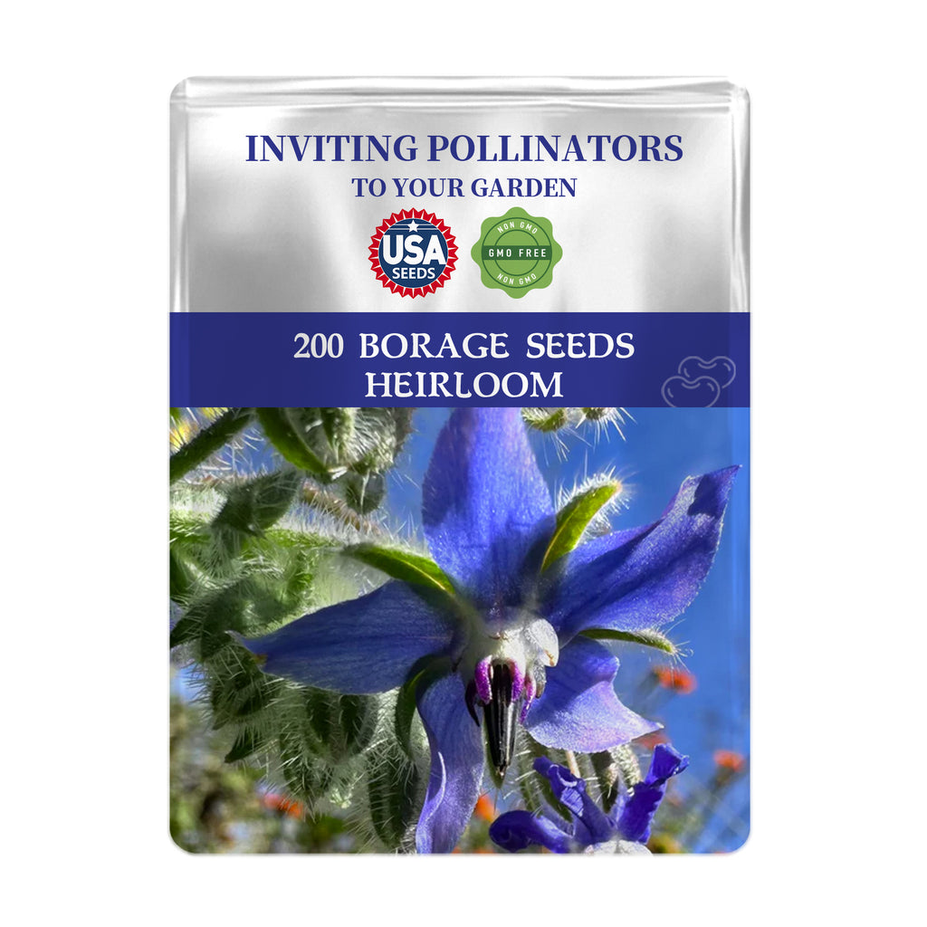 Seeds packet for Edible Blue Starflower Borage Seeds with a blue flower on a white background