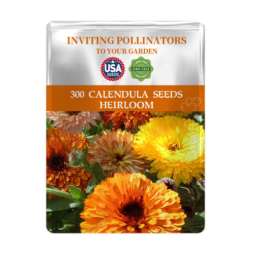 English Marigold Scotch Marigold Calendula Seeds packet for calendula seeds with colorful flowers on a white background