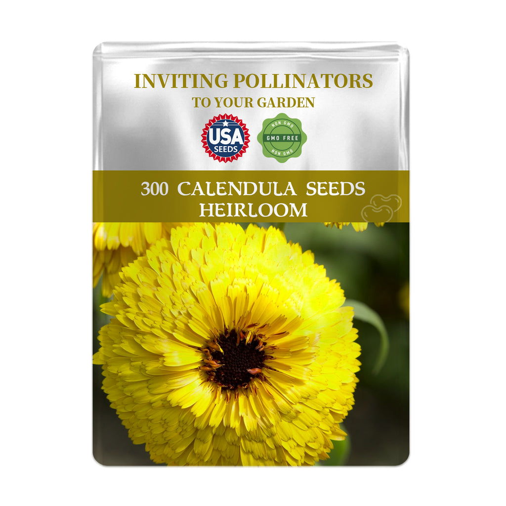 English Marigold Scotch Marigold Calendula Seeds packet for Calendula seeds with a yellow flower on a white background