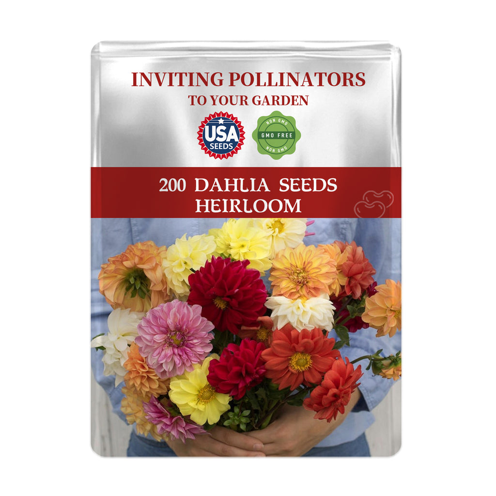 Figaro Double Flower Dahlia Seeds Mix Colors packet for 200 Dahlia seeds with colorful flowers on a white background