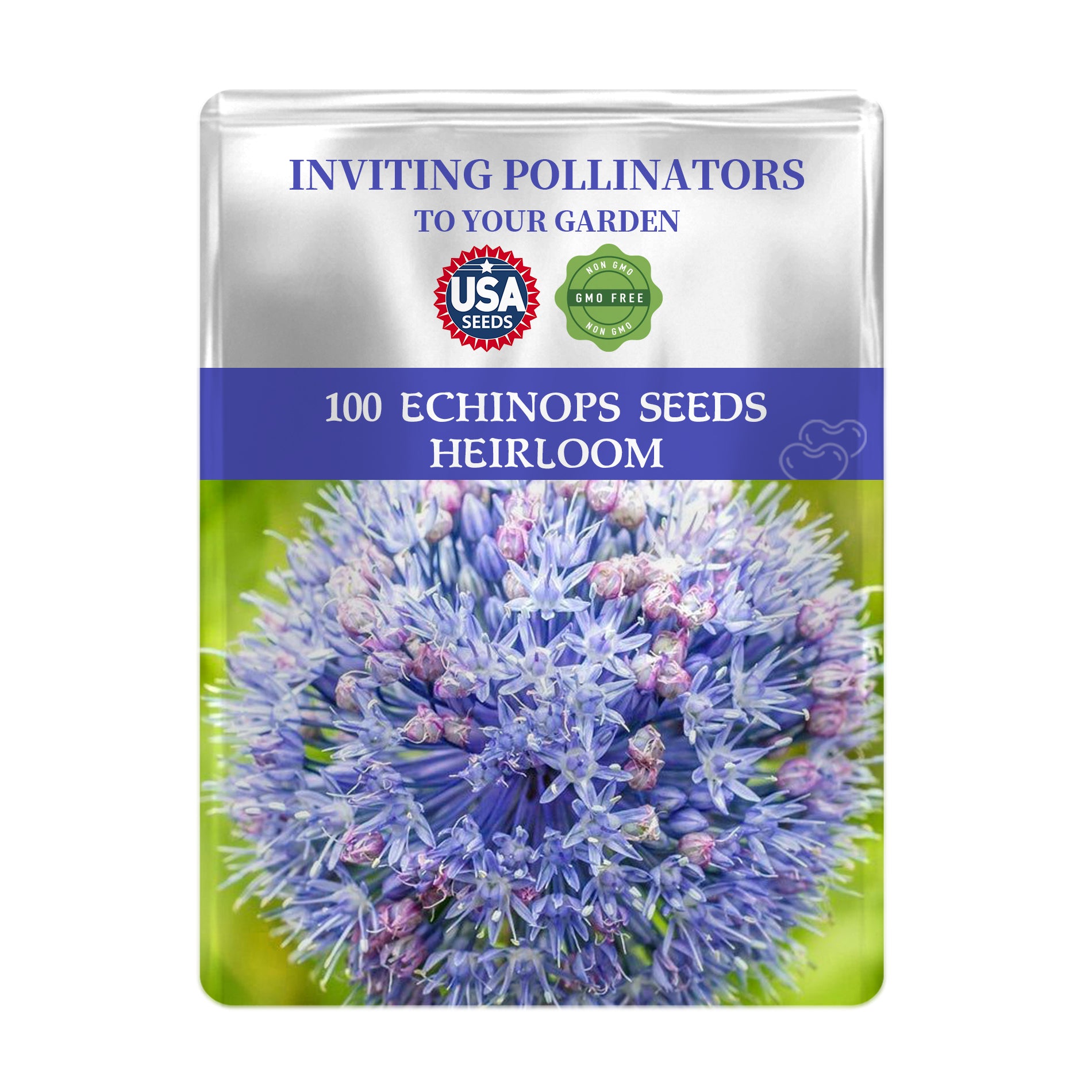 Seeds packet for Globe Thistle Steel Blue Echinops Seeds with a blue flower on a white background
