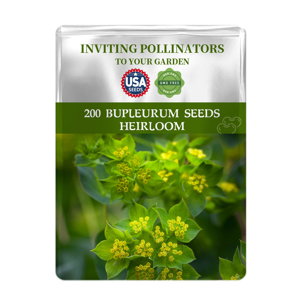 Seeds packet for Green Gold Hare's Ear Filler Bupleurum Seeds with greenery and USA Seeds logo on a white background