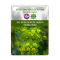 Seeds packet for Green Gold Hare's Ear Filler Bupleurum Seeds with greenery and USA Seeds logo on a white background