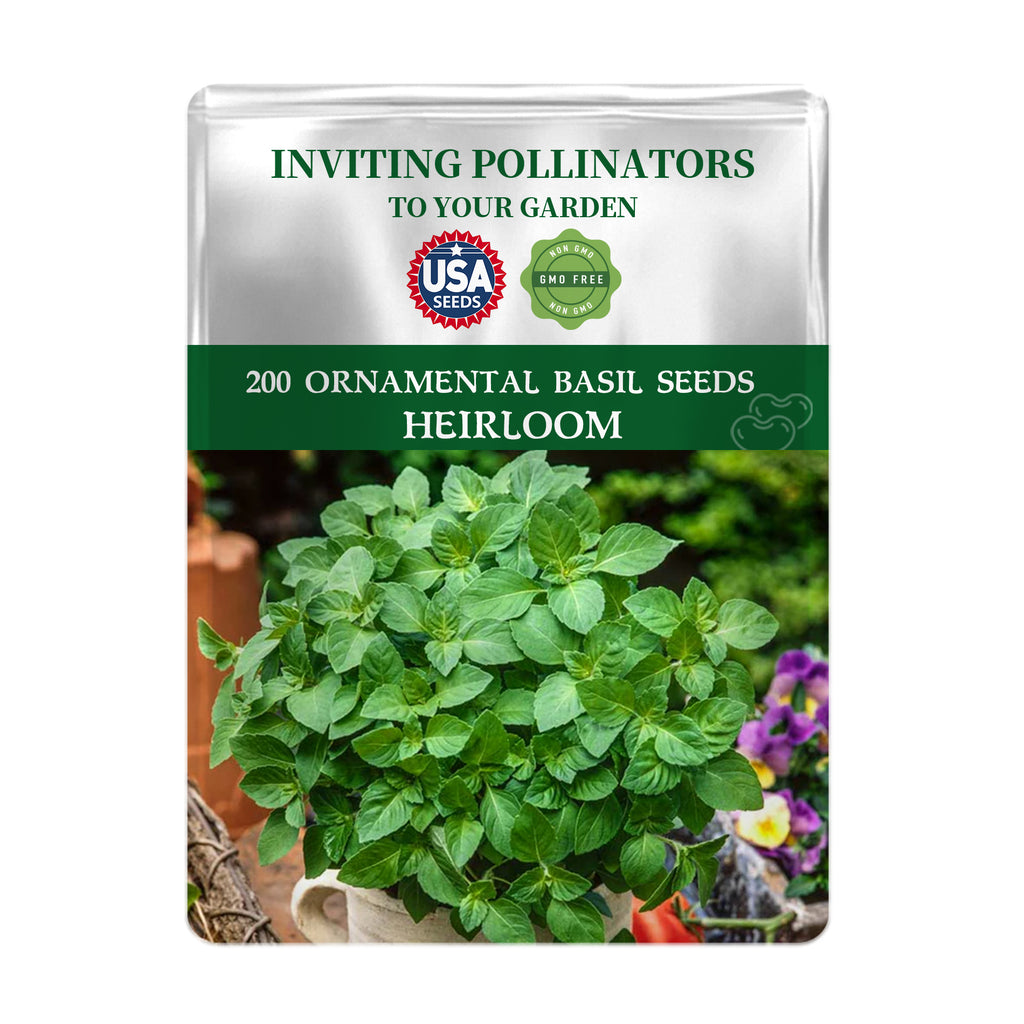 Seeds packet for Green Ornamental Basil Seeds 200Pcs with green leaves and flowers on a white background