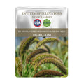 Seeds packet for Highlander Ornamental Grass Seeds with USA Seeds branding on a white background