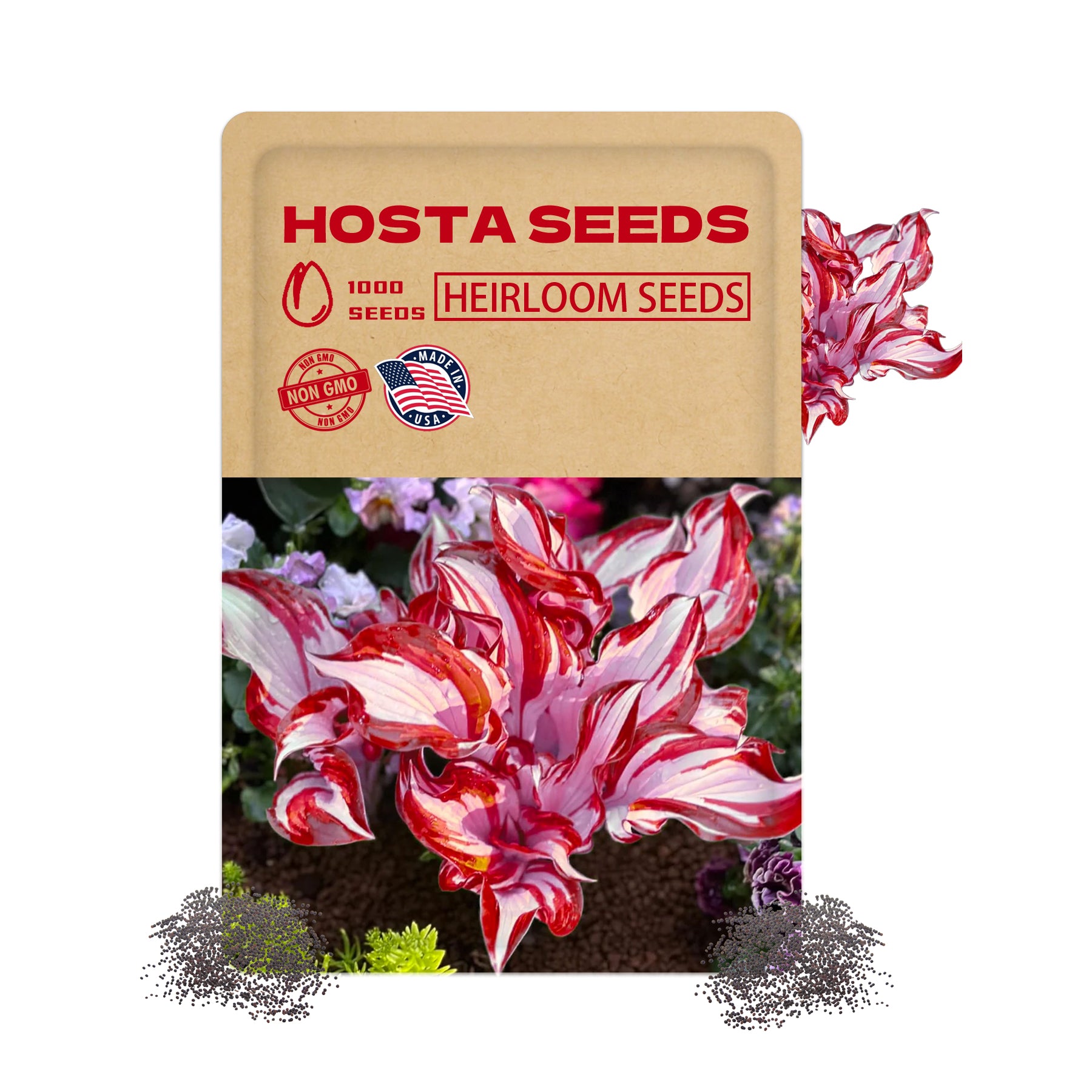 Hosta seeds packet with pink and white hosta flowers on a white background