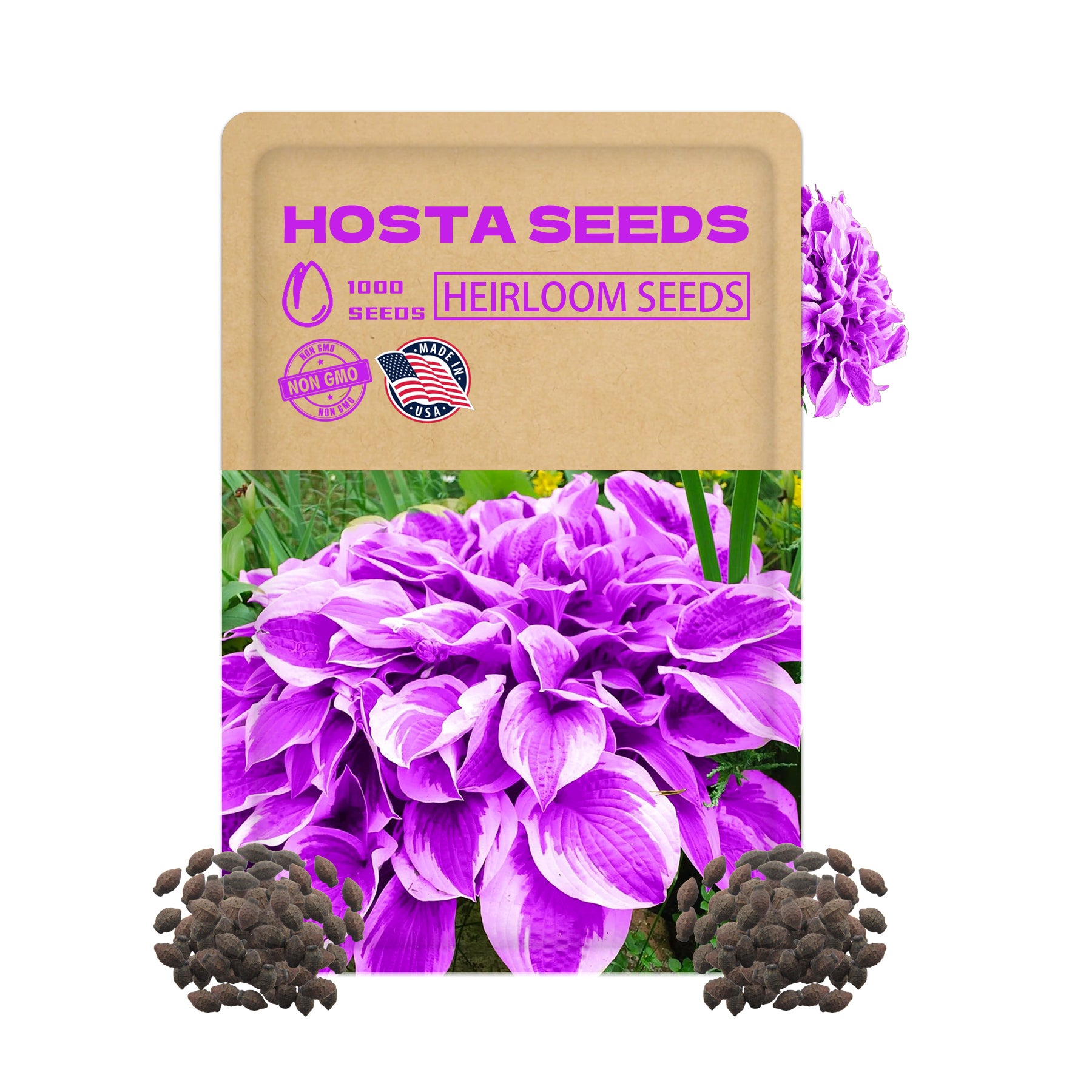 Hosta seeds packaging with purple flowers and seeds on a white background