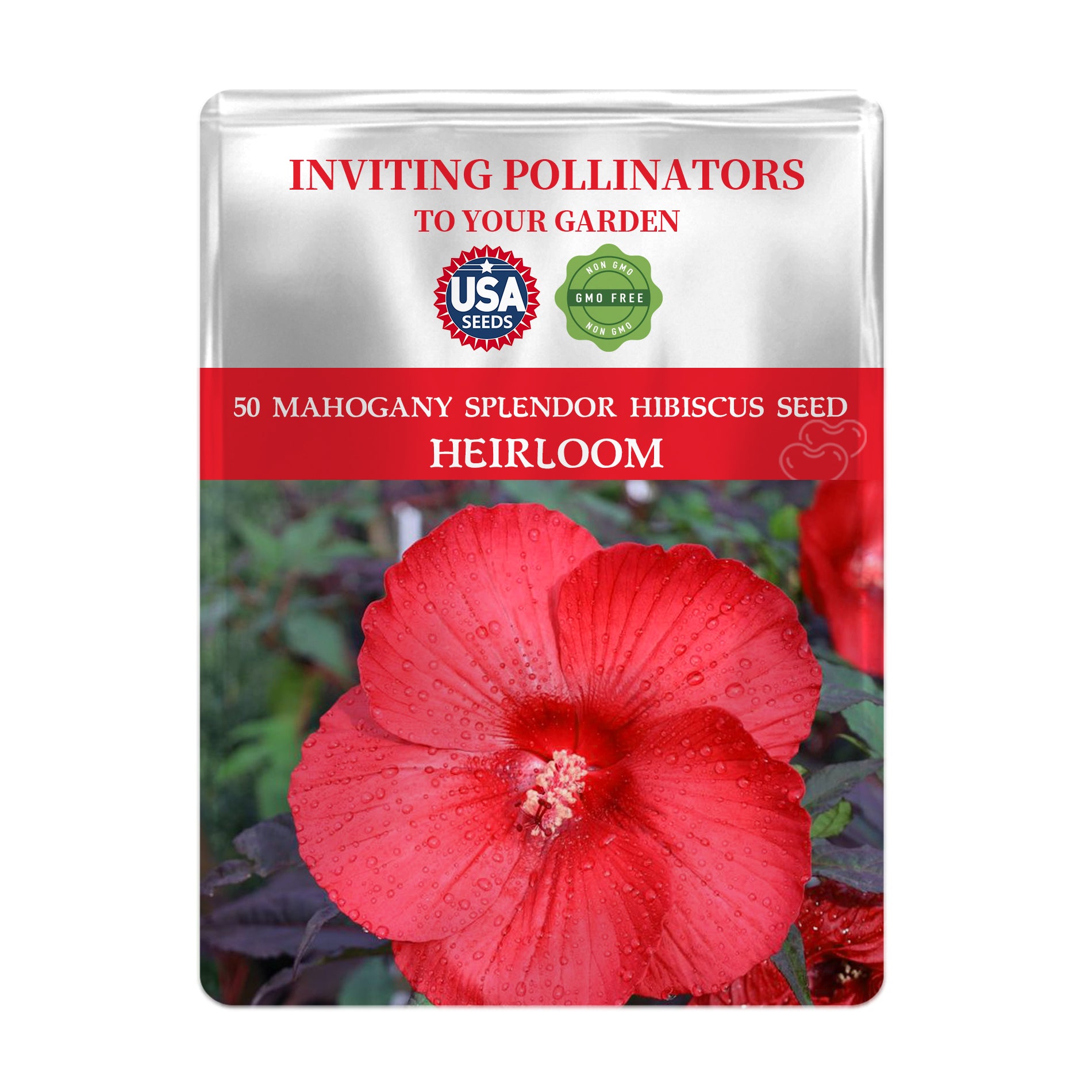 Seeds packet for Mahogany Splendor Hibiscus with red flower on a white background