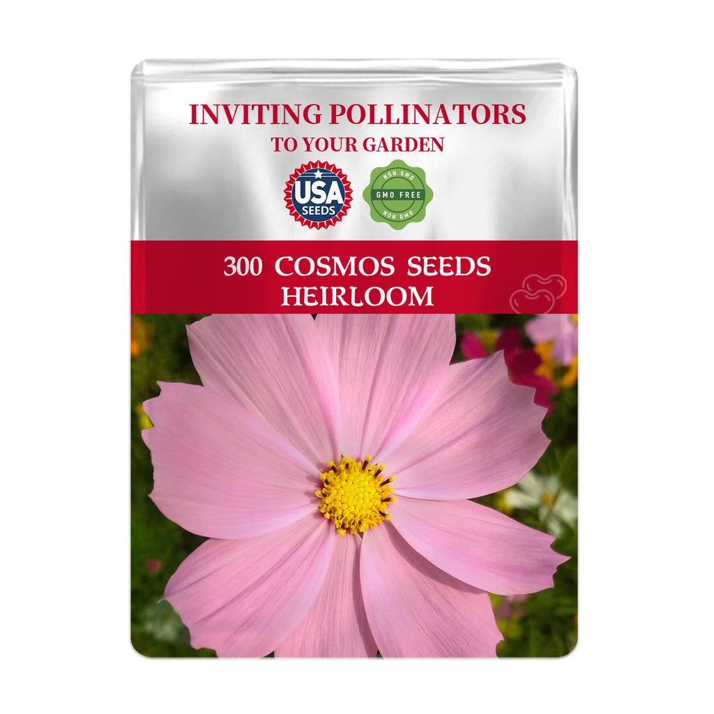 Mexican Aster Cosmos Seeds packet with pink cosmos flower on a white background