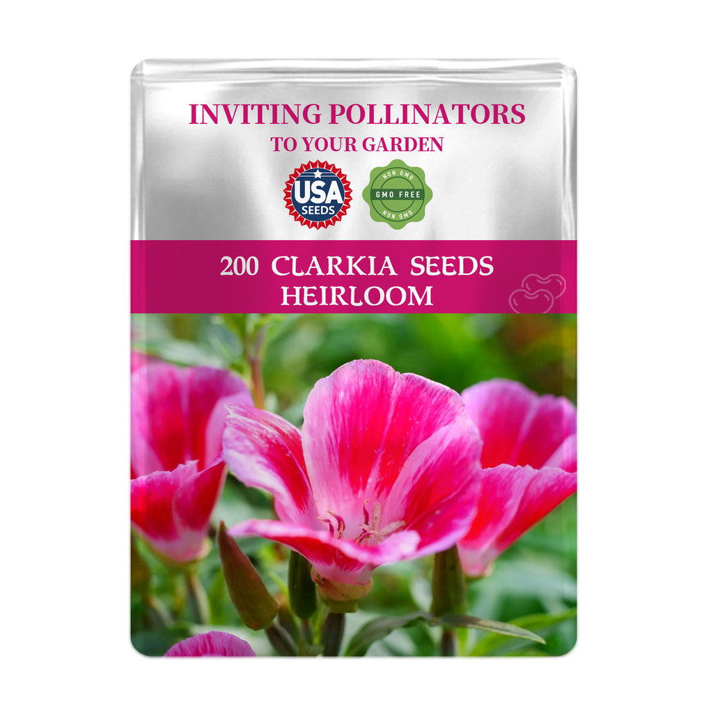 Seed packet for Mountain Garland Clarkia Seeds with pink flowers on a white background