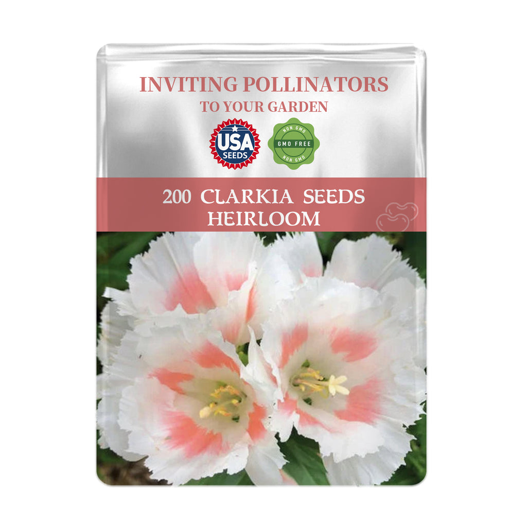 Package of Mountain Garland Clarkia Seeds with flowers on a white background