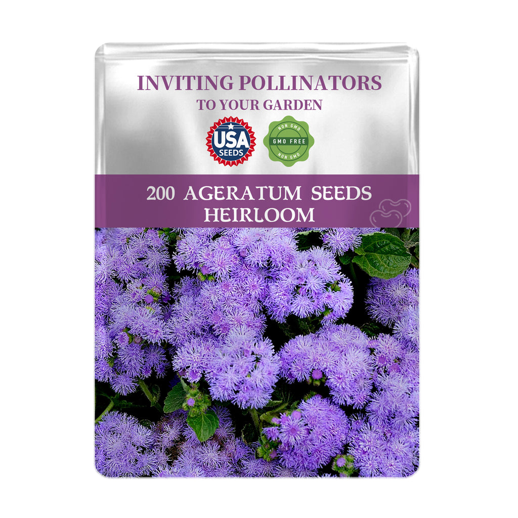 Package of Ageratum seeds with purple flowers on a white background