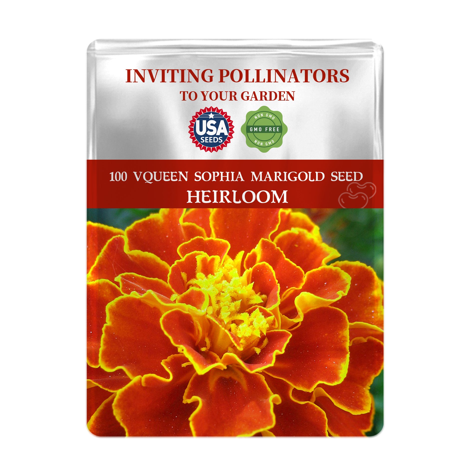 Seed packet for Queen Sophia Marigold Seeds with a red and yellow flower on a white background