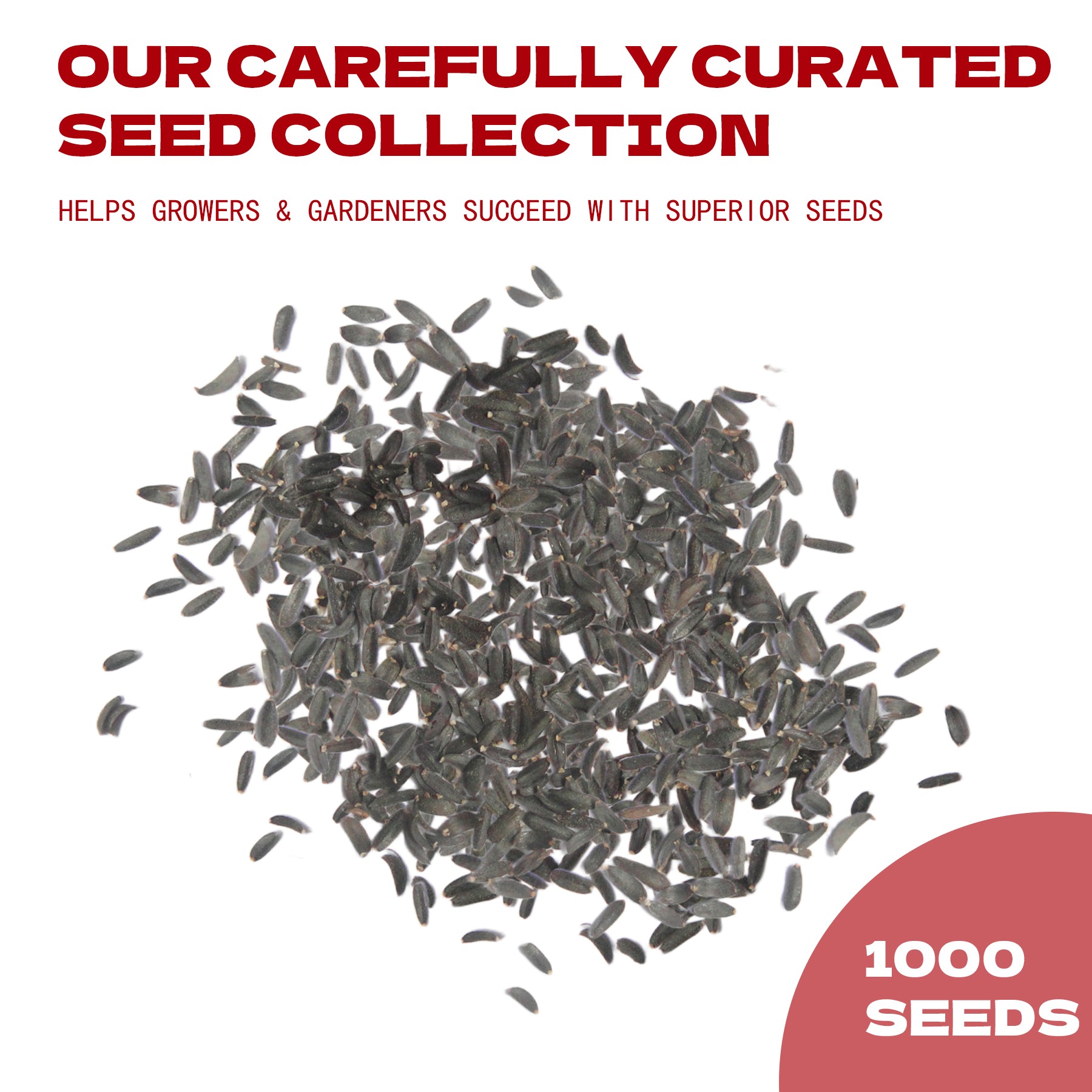 Rock Cress Seeds collection with text about a curated seed collection on a white background