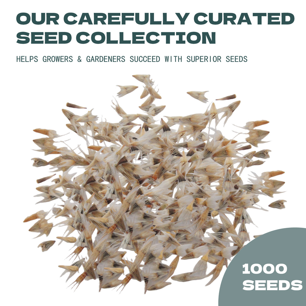 Rudbeckia Seeds | Native Black-Eyed Susan Seed collection with text about curated seed collection and superior seeds on a white background