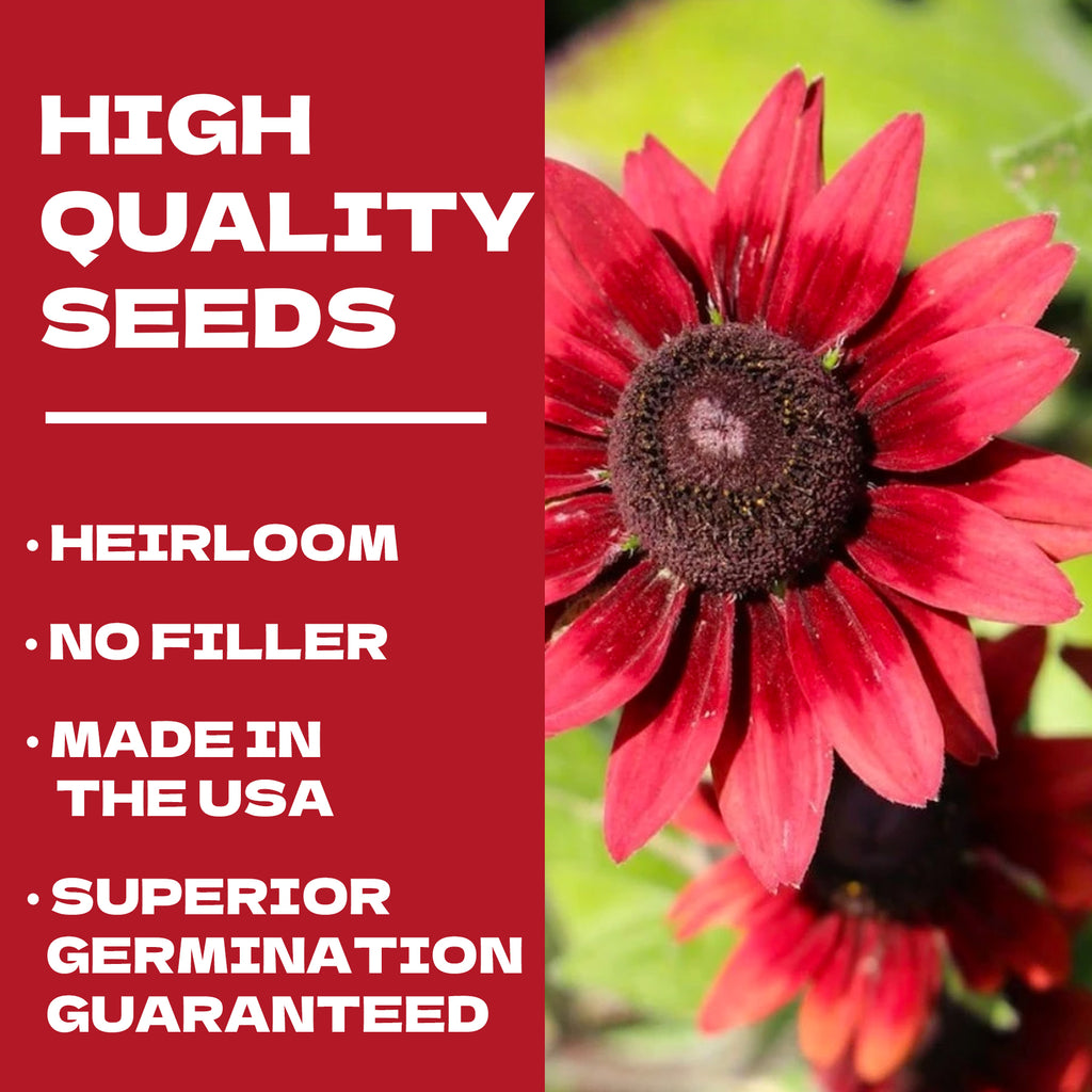 Rudbeckia Seeds | Native Black-Eyed Susan Red flower with text about high-quality seeds on a red background