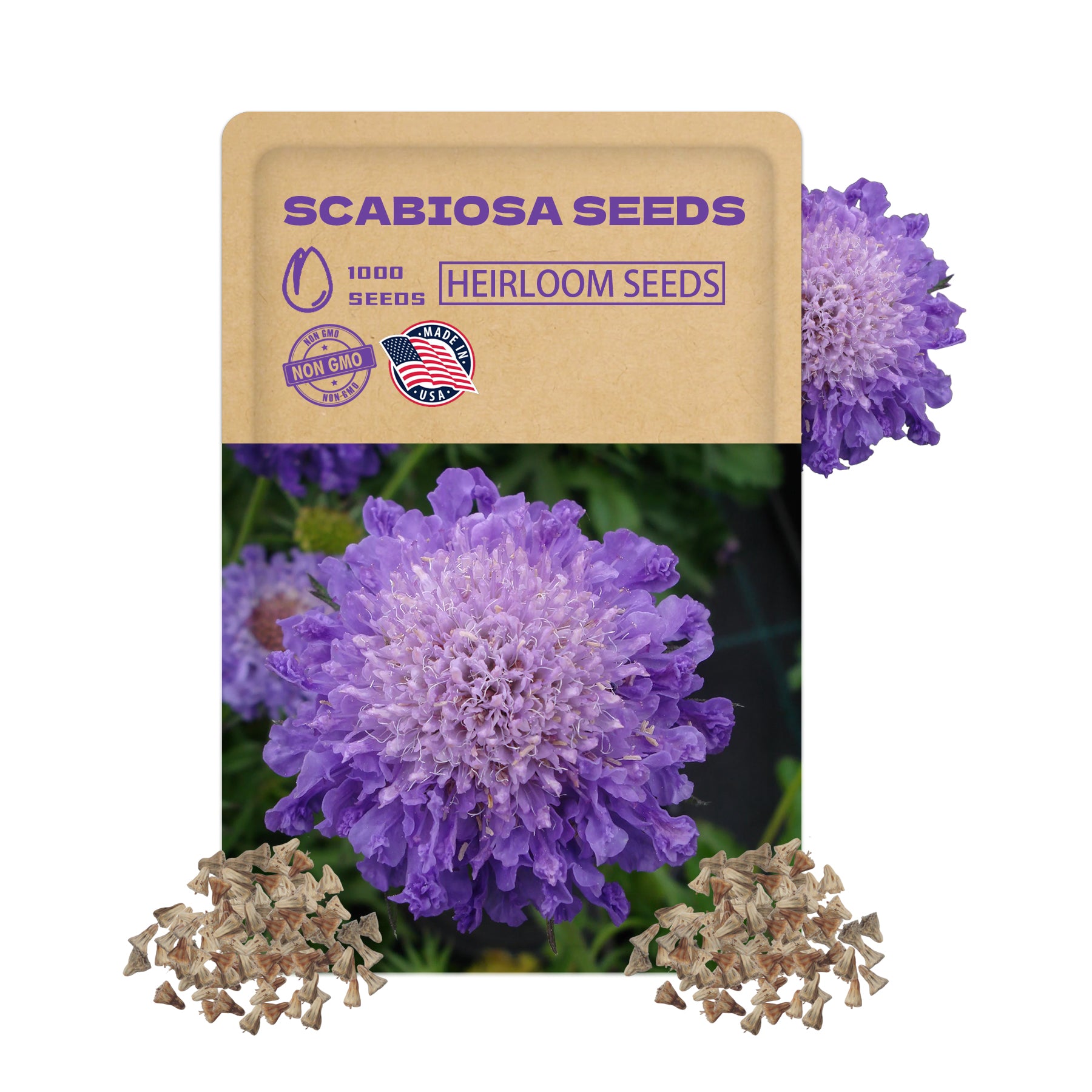 Scabiosa seeds packaging with purple flowers and scattered seeds on a white background