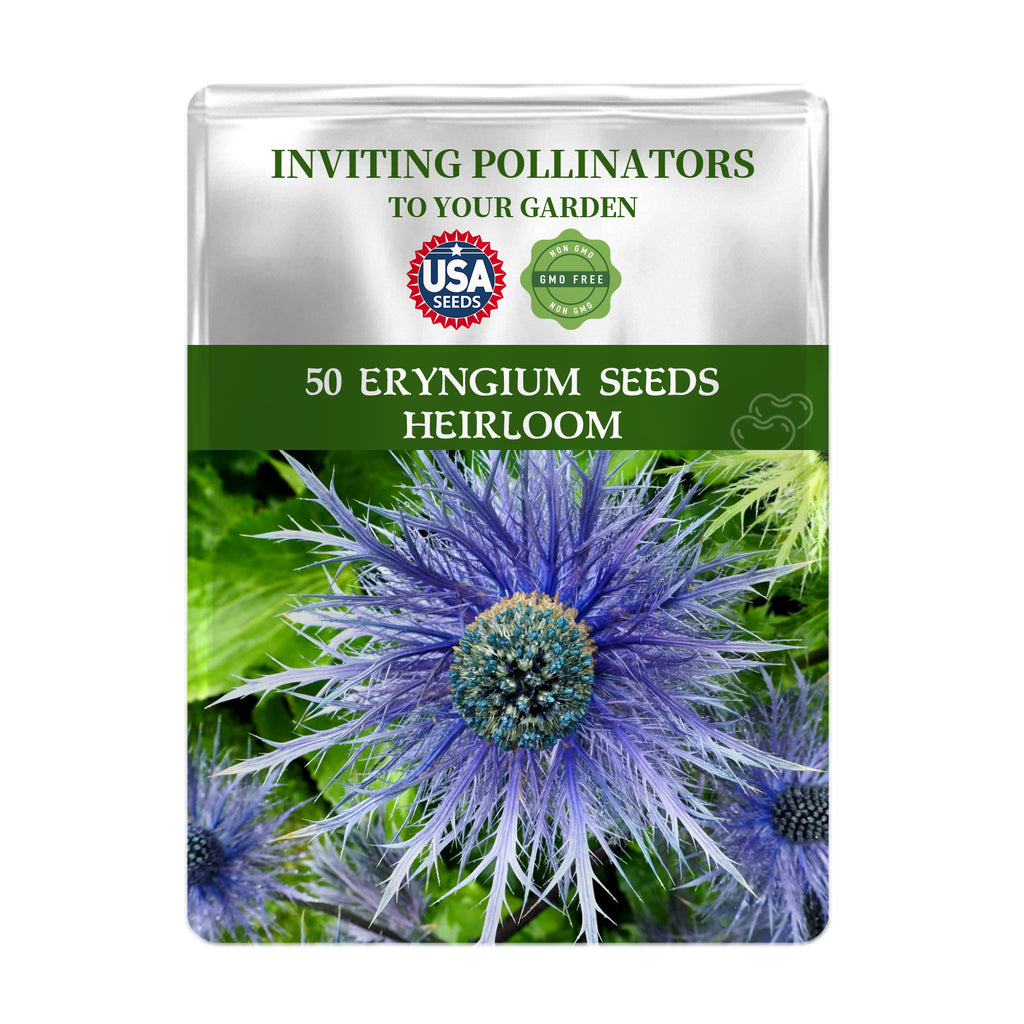 Seeds packet for Sea Holly Thistle Eryngium Seeds with a blue flower on a white background