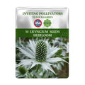 Seeds packet for Sea Holly Thistle Eryngium Seeds with a plant image on a white background