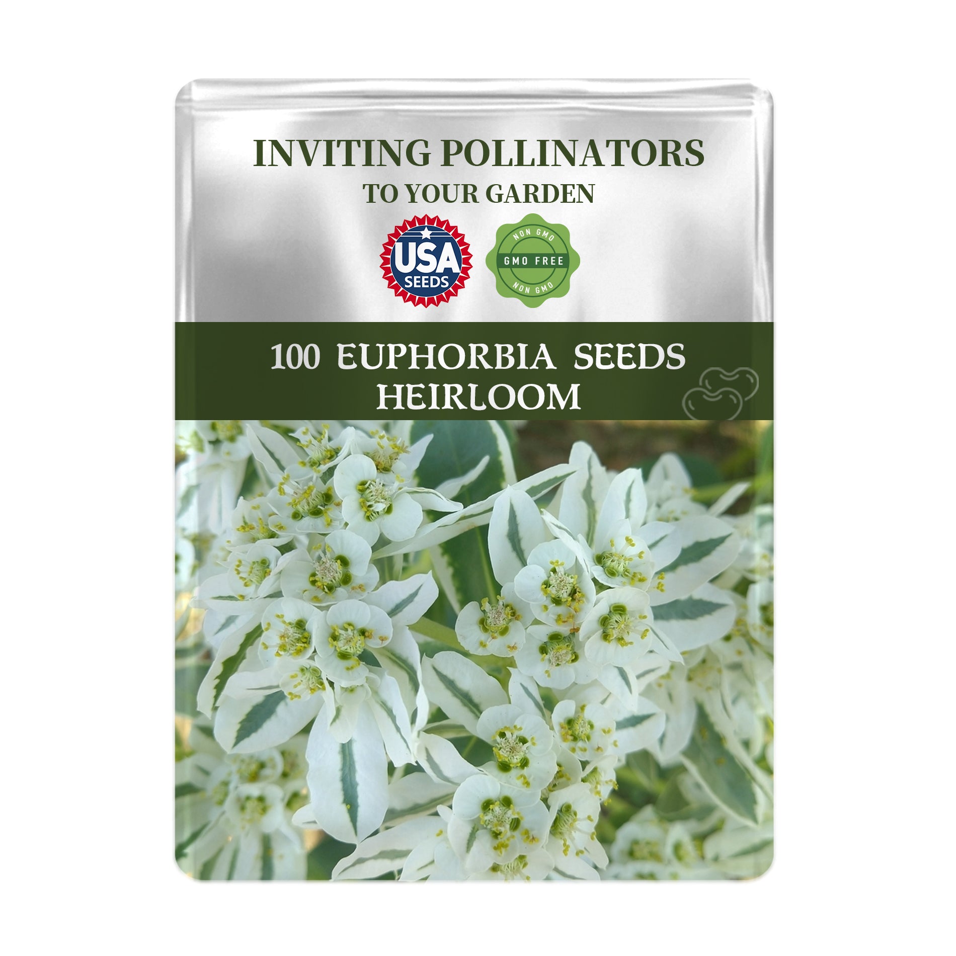 Seeds packet for Snow on the Mountain Euphorbia Seeds with USA Seeds logo and flower image on a white background